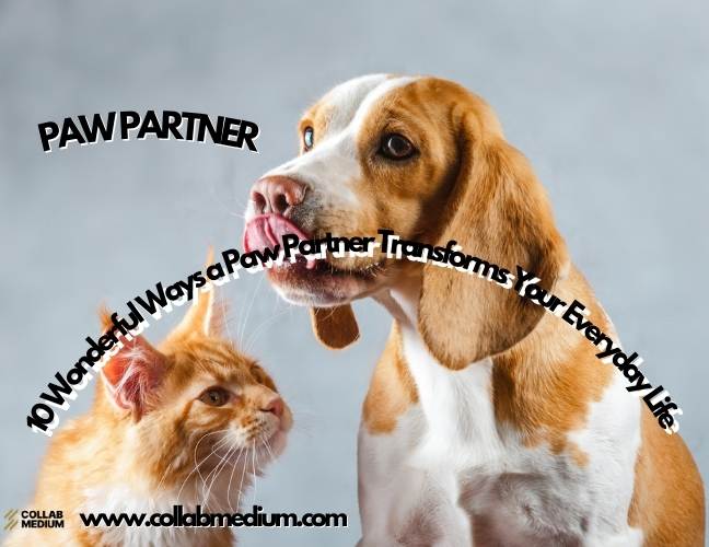 paw partner
