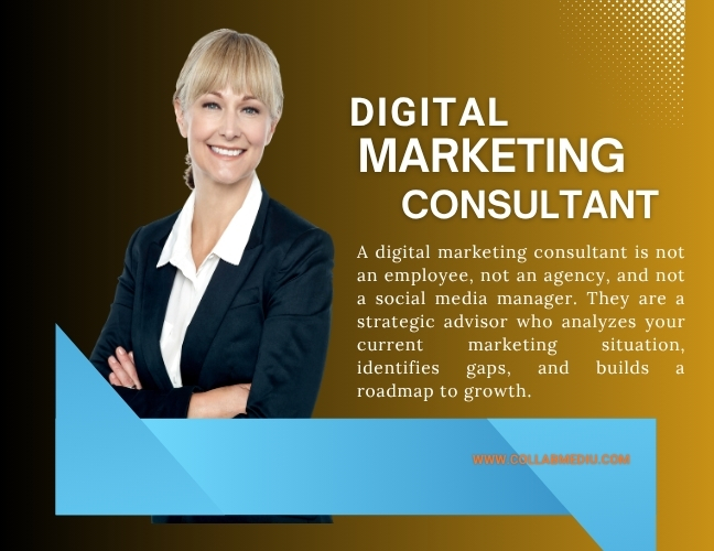 digital-marketing-consultant