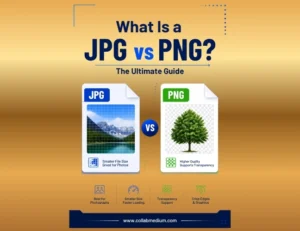 What Is a JPG vs PNG? The Ultimate Guide